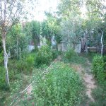 Satılır 5 otaqlı Bağ evi, Buzovna, Xəzər rayonu 5