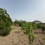 Satılır Torpaq, Şüvəlan, Xəzər rayonu 13