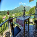 Kirayə (günlük) 5 otaqlı Həyət evi/villa Qəbələ 2