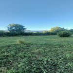 Satılır Torpaq Qəbələ 2