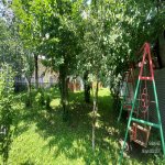 Kirayə (günlük) 2 otaqlı Həyət evi/villa Qəbələ 6