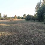 Satılır Torpaq Qəbələ 2