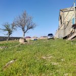 Satılır 2 otaqlı Həyət evi/villa, Nardaran qəs., Sabunçu rayonu 12