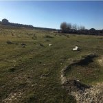 Satılır Torpaq, Masazır, Abşeron rayonu 2