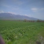 Продажа Участок Гусар 1