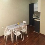 Kirayə (aylıq) 2 otaqlı Yeni Tikili, Xətai metrosu, Xətai rayonu 13