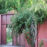 Satılır Obyekt Xaçmaz / Nabran 2