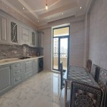 Kirayə (aylıq) 1 otaqlı Yeni Tikili, 28 May metrosu, Nəsimi rayonu 4