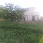 Satılır 5 otaqlı Həyət evi/villa Qazax 3
