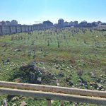 Satılır Torpaq, Novxanı, Abşeron rayonu 1