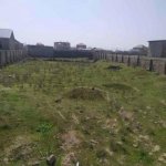 Satılır Torpaq, Novxanı, Abşeron rayonu 2