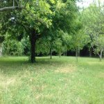 Kirayə (günlük) 3 otaqlı Bağ evi İsmayıllı 15