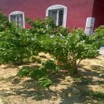 Satılır 5 otaqlı Bağ evi, Novxanı, Abşeron rayonu 17