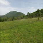 Satılır Torpaq Şamaxı 8