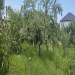 Посуточно 3 комнат Дача Гусар 16