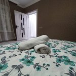 Kirayə (günlük) 3 otaqlı Həyət evi/villa Qəbələ 6