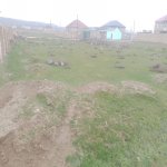 Satılır Torpaq, Qobu, Abşeron rayonu 3