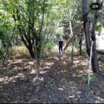 Satılır 2 otaqlı Həyət evi/villa Göyçay 2
