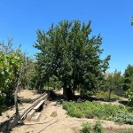 Продажа Участок, Шювалан, Хязяр район 9
