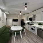 Satılır 7 otaqlı Həyət evi/villa, Azadlıq metrosu, Biləcəri qəs., Binəqədi rayonu 30