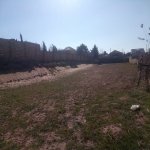 Satılır Torpaq, Novxanı, Abşeron rayonu 4