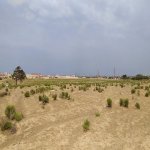 Satılır Torpaq, Sabunçu rayonu 3