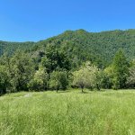 Продажа Участок Гябяля 9