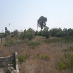 Satılır 2 otaqlı Bağ evi, Saray, Abşeron rayonu 1