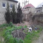 Satılır 3 otaqlı Həyət evi/villa, Binə qəs., Xəzər rayonu 4