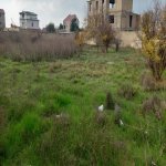 Satılır Torpaq, Novxanı, Abşeron rayonu 11