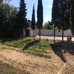 Satılır Torpaq, Novxanı, Abşeron rayonu 7