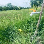 Satılır Torpaq Qəbələ 3