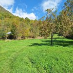 Satılır Torpaq Qəbələ 8