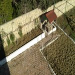 Kirayə (günlük) 7 otaqlı Bağ evi, Nardaran qəs., Sabunçu rayonu 7