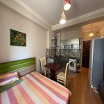 Продажа 1 комнатная Новостройка, м. 20 Января метро, Насими район 2