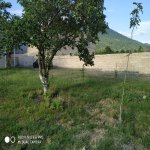 Kirayə (günlük) 3 otaqlı Həyət evi/villa Qəbələ 7