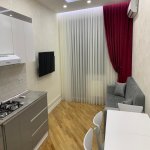 Kirayə (aylıq) 1 otaqlı Yeni Tikili, Nəriman Nərimanov metrosu, Nərimanov rayonu 8