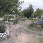 Kirayə (günlük) 3 otaqlı Bağ evi İsmayıllı 2
