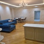 Kirayə (aylıq) 3 otaqlı Yeni Tikili, 28 May metrosu, Nərimanov rayonu 3