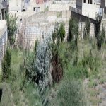 Satılır Torpaq, Ceyranbatan qəs., Abşeron rayonu 10