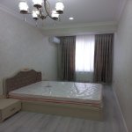 Kirayə (aylıq) 3 otaqlı Yeni Tikili, Nəriman Nərimanov metrosu, Nərimanov rayonu 9