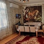 Kirayə (günlük) 4 otaqlı Həyət evi/villa İsmayıllı 10