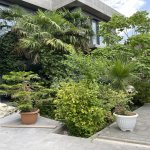 Kirayə (aylıq) 3 otaqlı Həyət evi/villa, Mərdəkan, Xəzər rayonu 5
