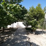 Kirayə (aylıq) 2 otaqlı Bağ evi, Mərdəkan, Xəzər rayonu 24
