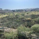 Продажа Участок, Дубянди, Хязяр район 12