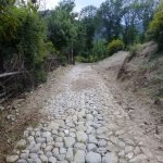 Satılır Torpaq Şəki 3