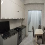 Kirayə (aylıq) 2 otaqlı Yeni Tikili, Nəriman Nərimanov metrosu, Nərimanov rayonu 2