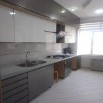 Продажа 2 комнатная Новостройка, м. Ази Асланова метро, Ахмедли, Хетаи район 10