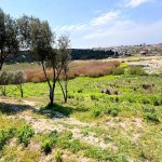 Satılır Torpaq, Mehdiabad, Abşeron rayonu 23