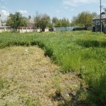 Satılır Torpaq Qəbələ 2